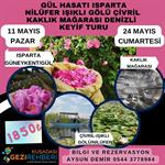 GÜNÜBİRLİK  ISPARTA GÜL HASATI VE  ÇİVRİL-IŞIKLI GÖLÜ (NİLÜFER) TURU