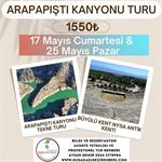 ARAPAPIŞTI (İNCEĞİZ) KANYONU TURU